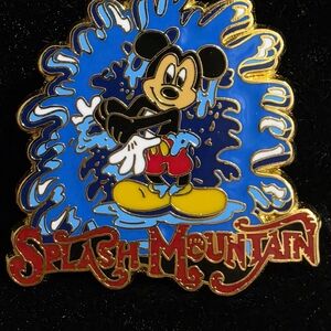 Disney Splash mountain pin
